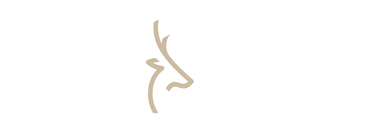 logo-gazzella-bianco